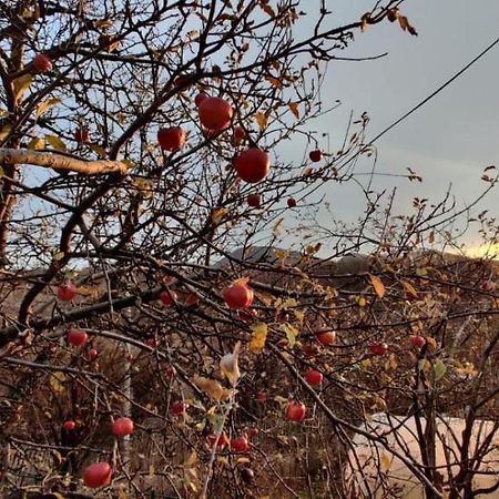 Casuta Bunicilor Isverna Hotel Buitenkant foto