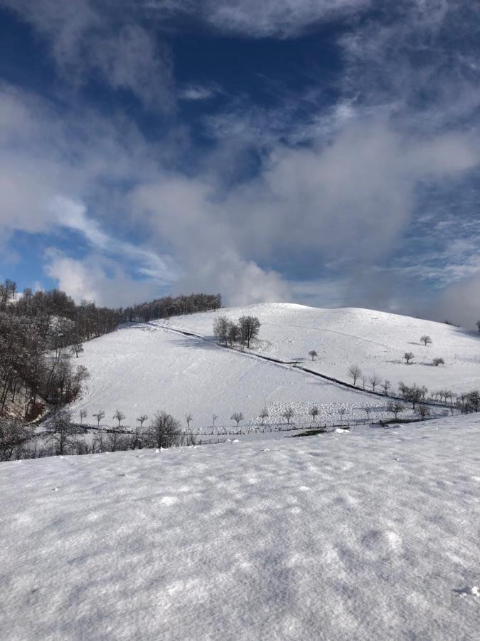 Casuta Bunicilor Isverna Hotel Buitenkant foto