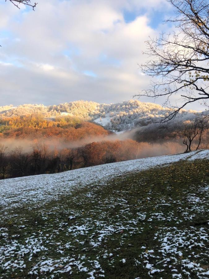 Casuta Bunicilor Isverna Hotel Buitenkant foto